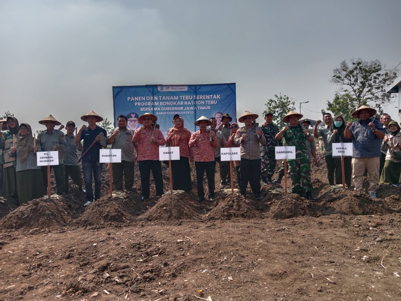 Kecamatan Jetis Ikuti Panen dan Tanam Tebu Serentak Program Bongkar Ratoon Bersama Gubernur Jawa Timur
