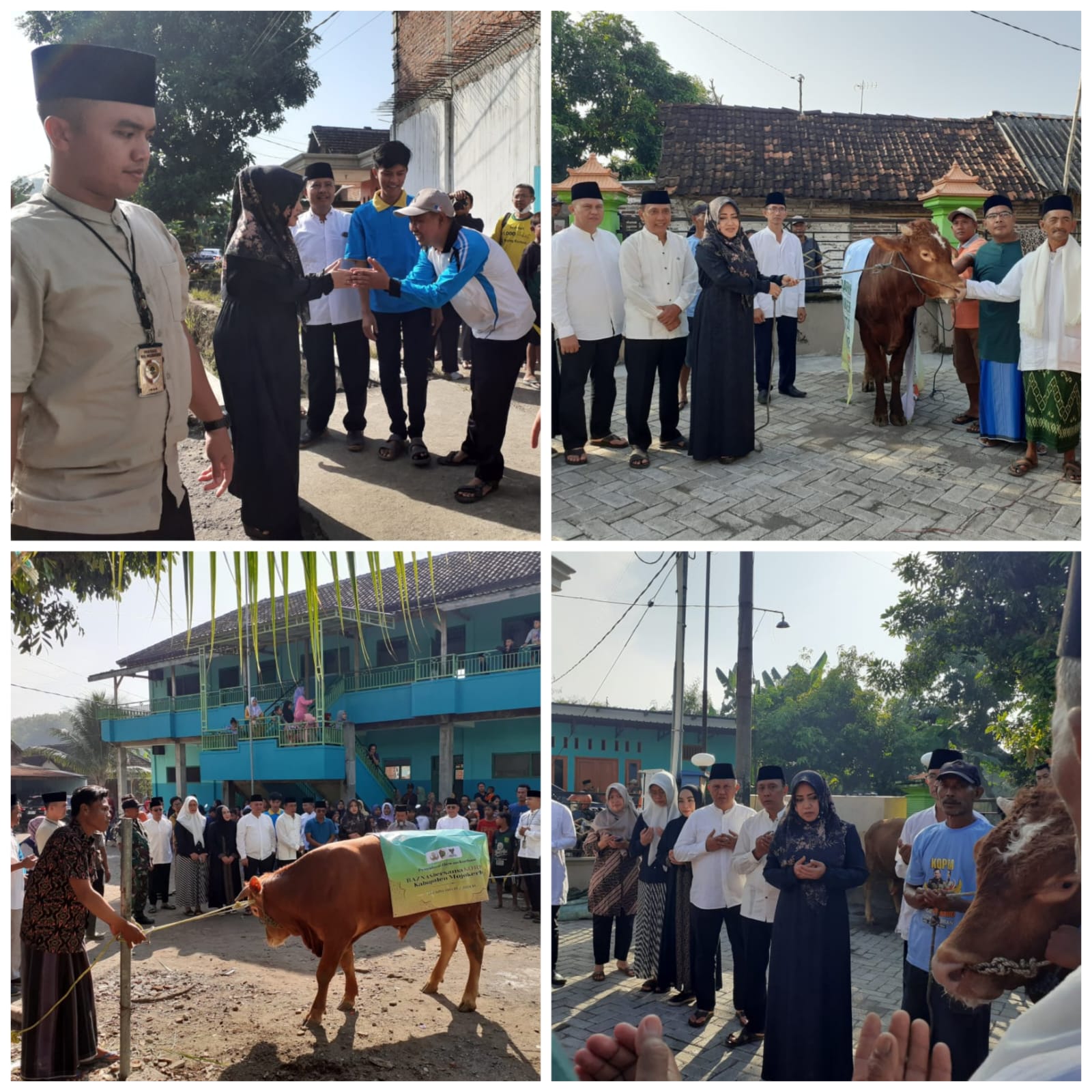 PENYERAHAN HEWAN KURBAN HIBAH PEMERINTAH KABUPATEN MOJOKERTO KEPADA DESA MOJOREJO DAN LAKARDOWO KECAMATAN JETIS